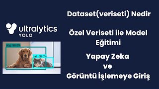 YOLO ile Nesne Tespiti ve Model Eğitimi – Kolay Başlangıç