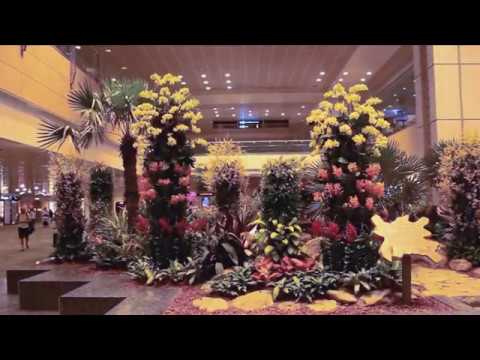 LoFia Soren - Suspended