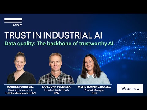 Data quality: The backbone of trustworthy AI