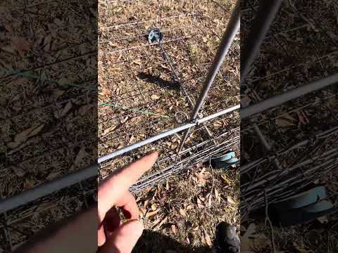 Hog Trap Trigger Ideas