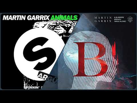 Martin Garrix - Animals vs. Breach (Argü Mashup)