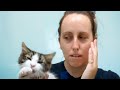 Hilarious Pet Moments 1 Hour Of FUNNY Animals