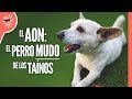 El Aon El PERRO MUDO De Los TAÍNOS Historia República Dominicana