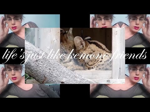 Video thumbnail for Girls Voice In A Rotting Mouth