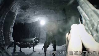 【バイオ7】マグナムが強すぎてもはや違うゲーム。