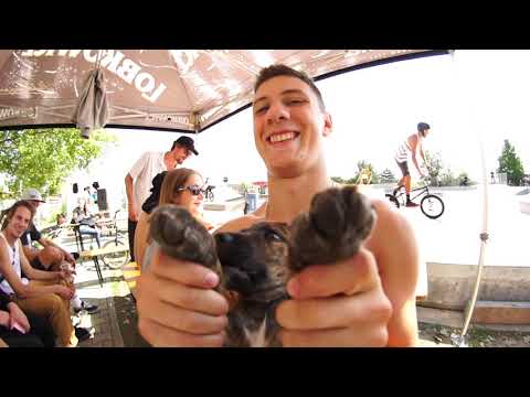 YouTube video