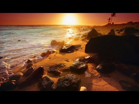 Andoo - Deep House Summer Mix #1