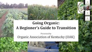 Going Organic: A Beginner’s Guide to Transition