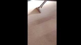 preview picture of video 'All That Glistens Carpet Cleaning. Amazing results delivered using a micro splitting pre-spray!'