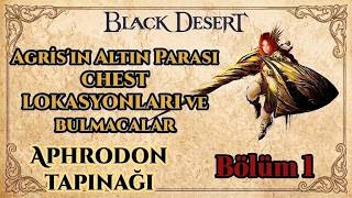 Agris'in Altın Para Bulmacaları Blüm - 1 - Aphrodon Tapınağ - Black Desert Onlin