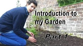 An Introduction to my Outdoor Garden Part 1 (vegetable patch)