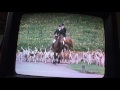 Opening To Howard S End 1993 VHS