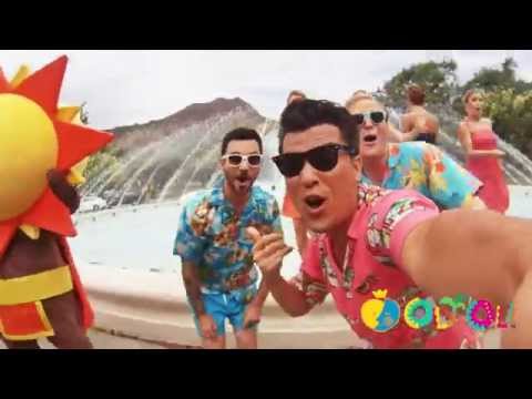 さまざまな種のコウライウグイス (Oriolus sp)