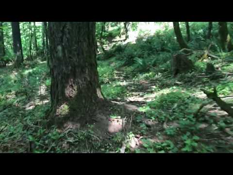 Tommy H - Journey to the forgotten land (Official Video)