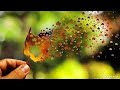 Tere Ishq Mein Pagal Ho Gaya Jhankar HD Humko Tumse Pyaar Hai Alka Yagnik Udit Narayan