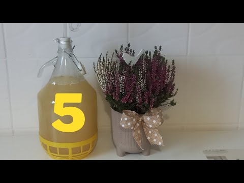 Miód pitny, piątak niesycony  Wesoły Gucio  cz  1