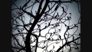 Bert Jansch   Katie Cruel