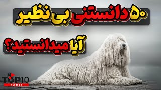 آیا میدانستید؟ 50 دانستنی جالب و بی نظیر