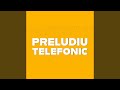Preludiu Telefonic
