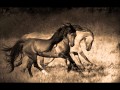 Mazzy Star/The Sundays - Wild Horses (bd edit ...