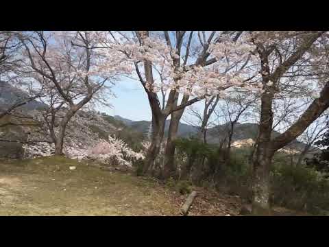 2019.04.05スポーツランドTAMADA ショートダウンヒル2本目