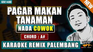 Download lagu PAGAR MAKAN TANAMAN - MANSYUR S (NADA PRIA) KARAOKE REMIX PALEMBANG mp3