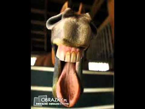 juventa starachowice