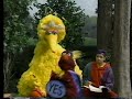 Sesame Street Telly Is Yes Man