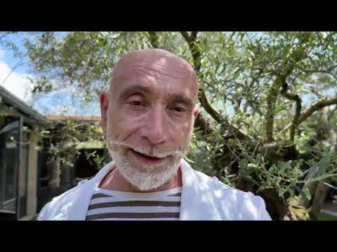 Natura e design nella nuova cantina Lunae