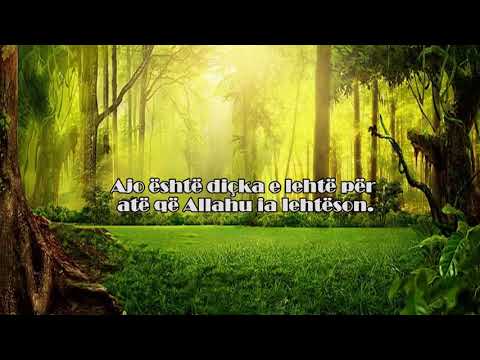 Rëndësia e mësimit të akides së saktë! Shejh Salih el Feuzani