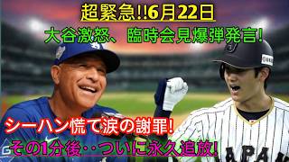 🚨速報🚨 大谷翔平選手が記者会見で怒りを爆発😱⚾シーハンの涙ながらの謝罪の直後😢...ドジャースが衝撃の決断を下す⁉️ 😳💥ファン騒然！🔥👀一体何が起こったのか、その真相とは...