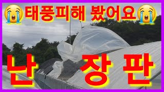 태풍피해 영상