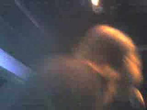 niki haris at splash