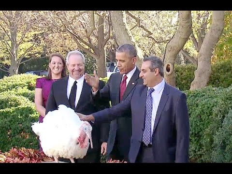 The President Pardons the National Thanksgiving Turkey 2015
