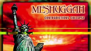 MESHUGGAH - QUALMS OF RELAITY