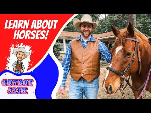 Thumbnail of a smiling cowboy in a leather vest beside a horse, with bold red text 'Learn About Horses!' and a cartoon 'Cowboy Jack' logo.