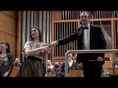 Dan Brown - Wild Symphony