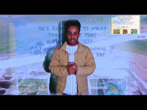 ማሕበር ምትሕግጋዝ ሰንዓፈን ከባቢኣን ነበርቲ ከተማ ሃምቡርግን ከባቢኣን