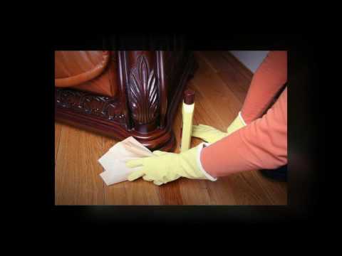 General Pest Control in Sydney, Au - Pest Prevention Tips