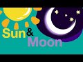 Learning Arabic: The Moon and Sun Letters (Huroof Qamari and Shamsi)