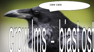 Cover art for JUDGEMENT DAY