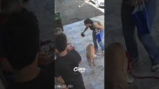 Miren lo que hizo esta perrita 🫢 #viralvideo