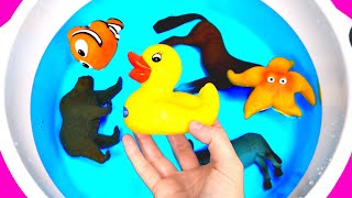 Learn Wild Zoo Animals and Sea Animals Matching For Kids