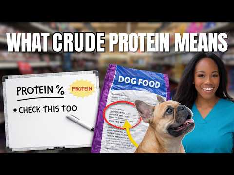 What Crude Protein Means on a Dog Food Bag | Simple Answer