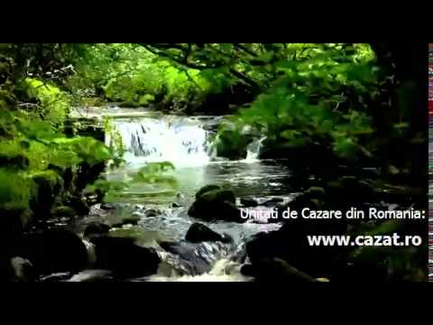 Cazare Lunga, Timis - Cazat.ro