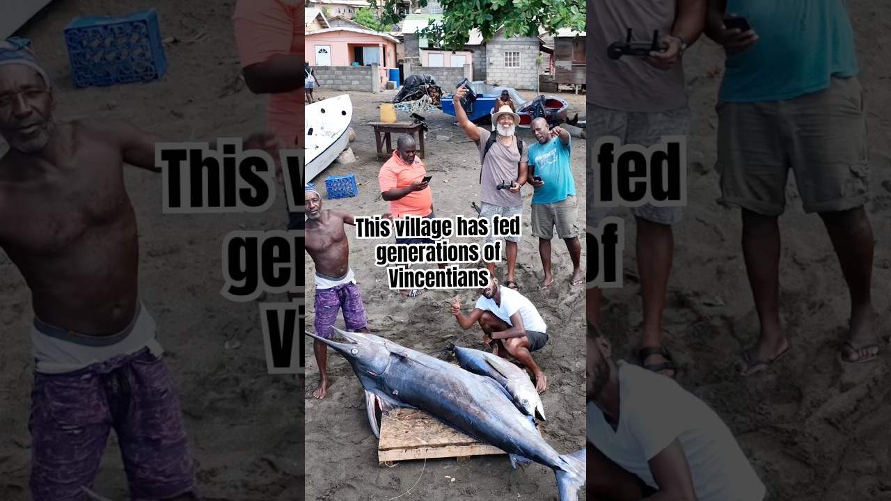 I visited one of St. Vincent’s most important fishing villages #stvincentandthegrenadines #fishing