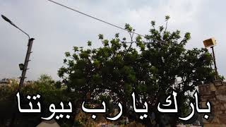 بارك يا رب بيوتنا