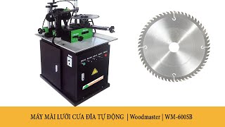 MÁY MÀI LƯỠI CƯA ĐĨA CẮT GỖ