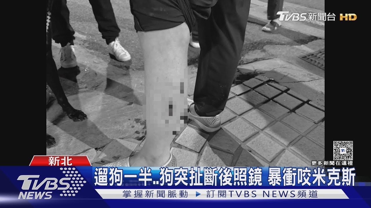 遛狗一半狗突扯斷後照鏡！暴衝咬米克斯