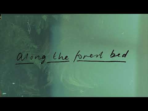 Annie Gardiner - Along the Forest Bed